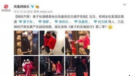 昊艺粉丝爆料事件视频,揭秘事件背后真相